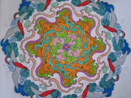 whatsapp bild 2025-06-22 um 15.52.03_7b71416a